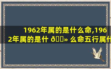 1962年属的是什么命,1962年属的是什 🌻 么命五行属什么属性